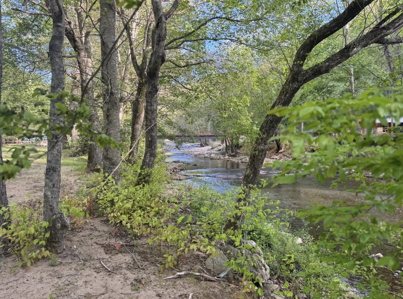 Wooded creek with a bridge on the Bluehead Waters property